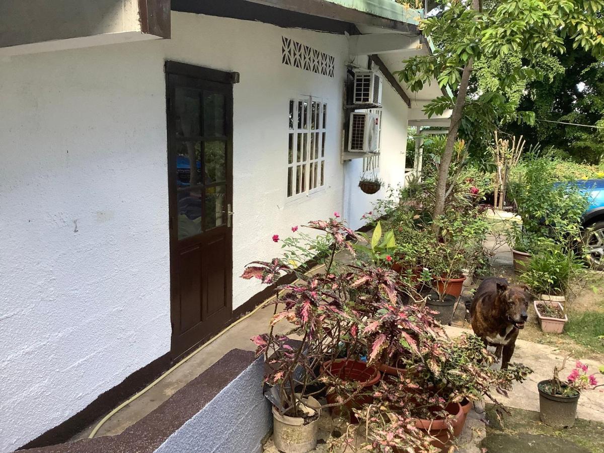 Bora Red Hibiscus Lodge 波拉波拉 外观 照片